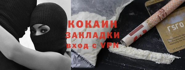 крисы Верея