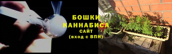 стаф Волосово