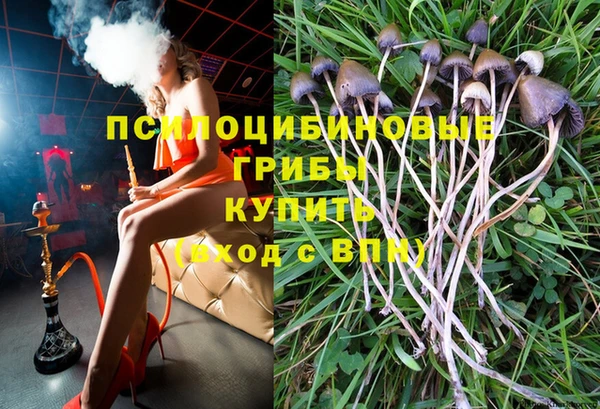 крисы Верея