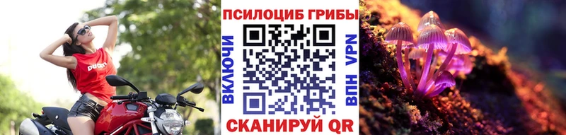 Галлюциногенные грибы Psilocybe  закладки  Вятские Поляны 